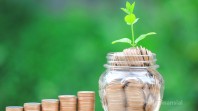 Pilihan Investasi yang Menguntungkan dengan Modal Kecil