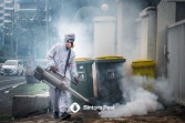 Upaya Bintoro Pest Mengatasi Ancaman Hama di Berbagai Kota