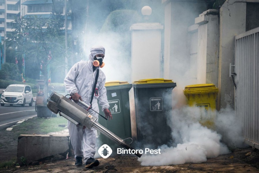 Upaya Bintoro Pest Mengatasi Ancaman Hama di Berbagai Kota